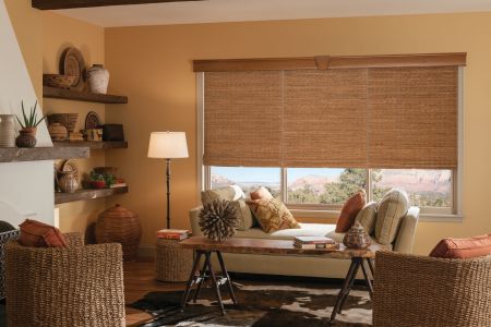 3 Windows Shades To Control Light, Glare, & Heat